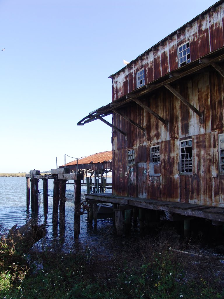 historic Oyster packing house on the banks of Apalachicola Bay (11-26-2011)