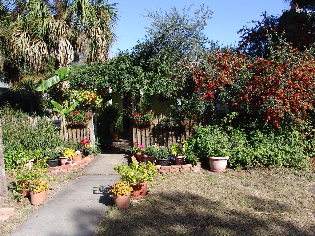 cool front yard, historic Apalachicola Florida (11-26-2011)