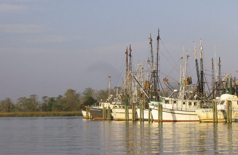 Apalachicola shrimp boats