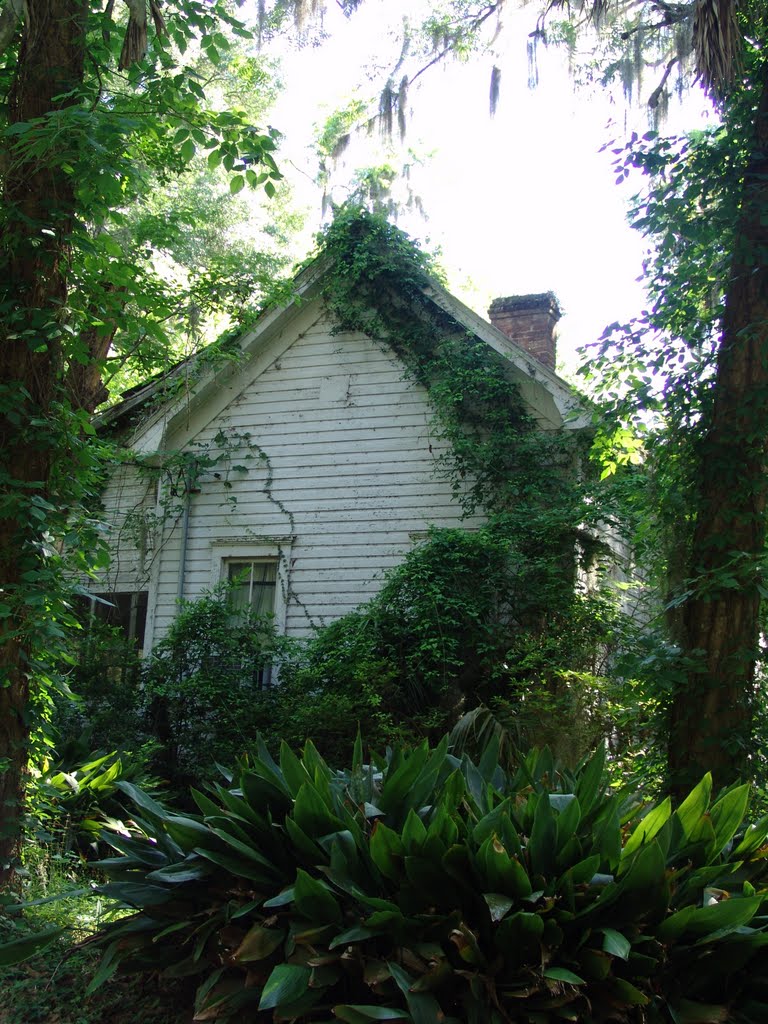 large cracker house in the weeds, Archer Fla (4-30-2011)