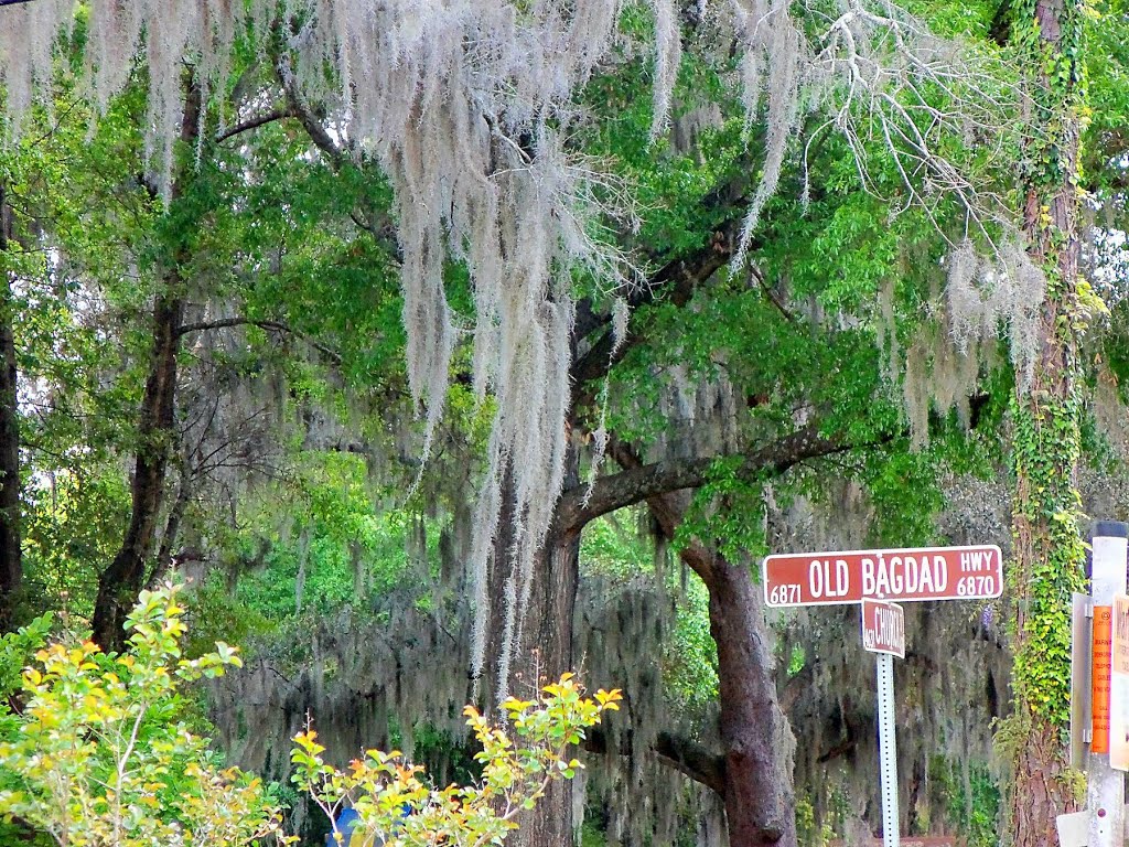 Old Bagdad Hwy, Bagdad, FL (2013)