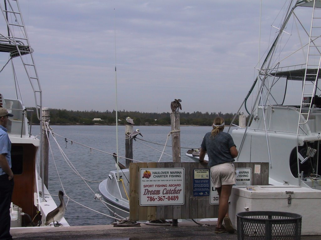 fishing boat north Miami