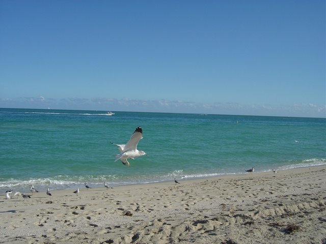 Haulover Park, Bal Harbour, FL