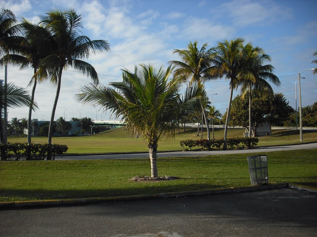Miami