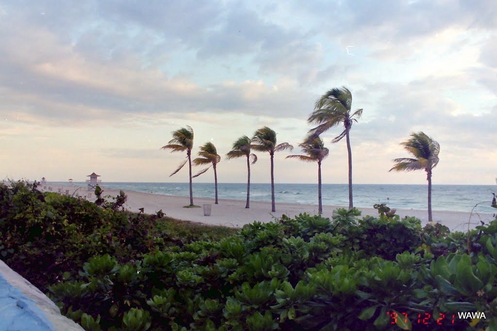 Miami Beach, Fishermans Pier (マイアミビーチ　フィッシャーマンズピア付近)