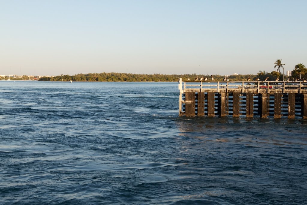 Oleta River, Miami
