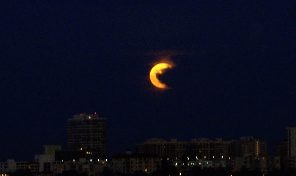 Moon Over Miami