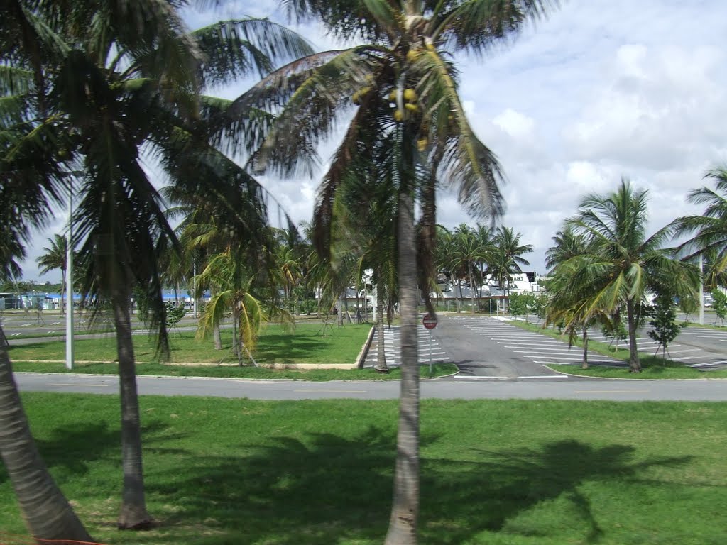 USA. Miami (64010973)