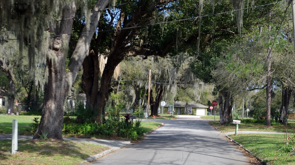 2014 02-25 Bartow, Florida - E Fleetwood Ave