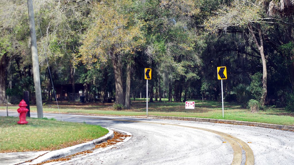 2014 02-25 Bartow, Florida - E Blvd St.