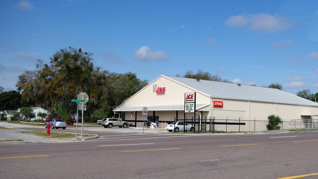 2014 02-25 Bartow, Florida - Ace Hardware