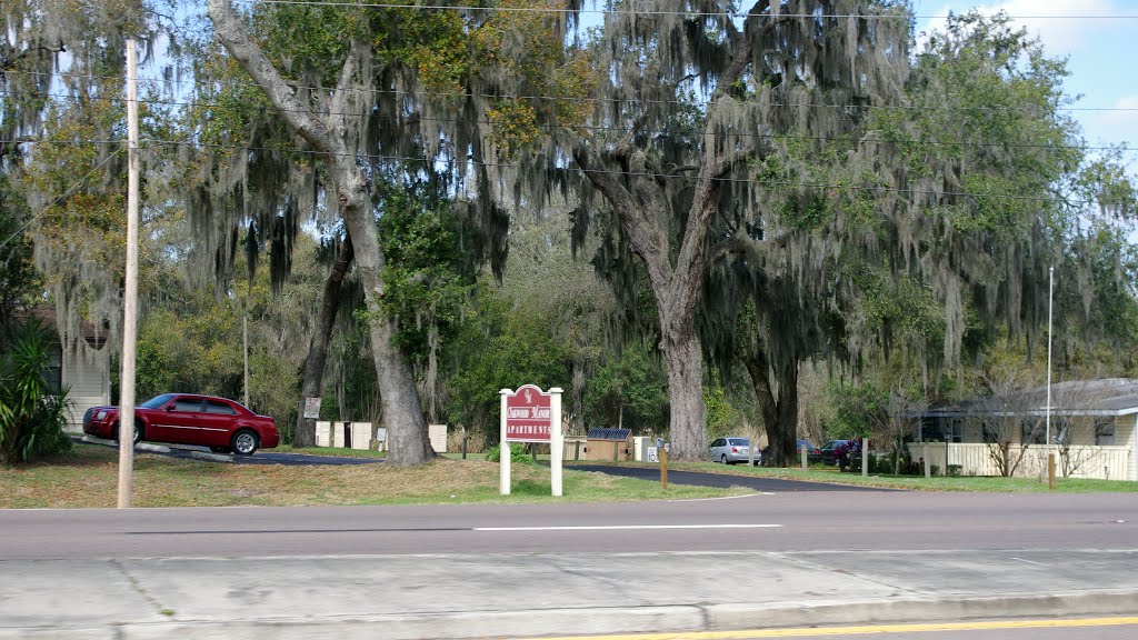 2014 02-25 Bartow, Florida Rte 17