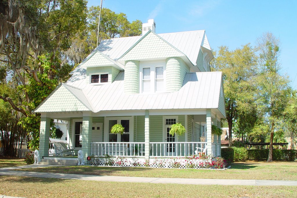 eclectic victorian house, Bartow (2-2009)