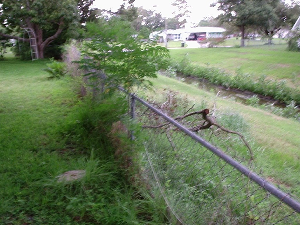Bearcreek