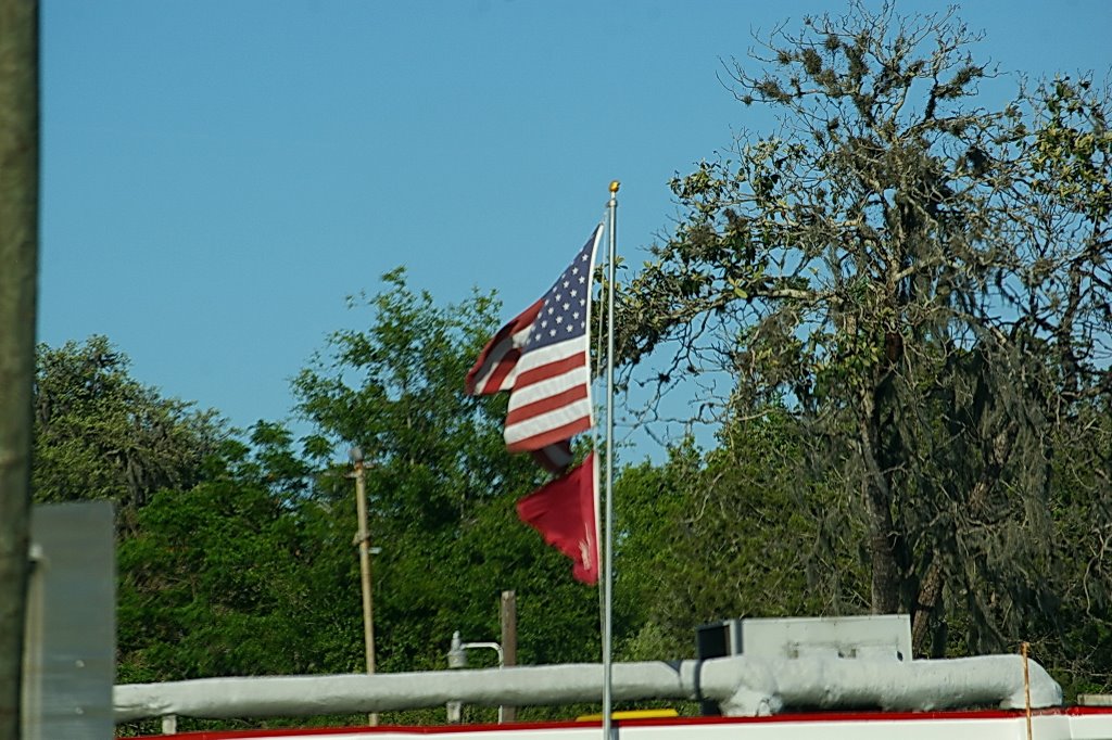 Bellview, Florida US flag