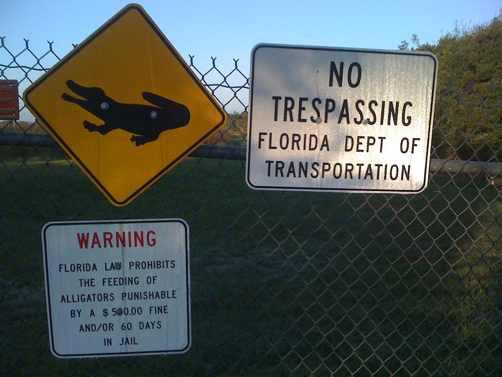Dont feed the alligator