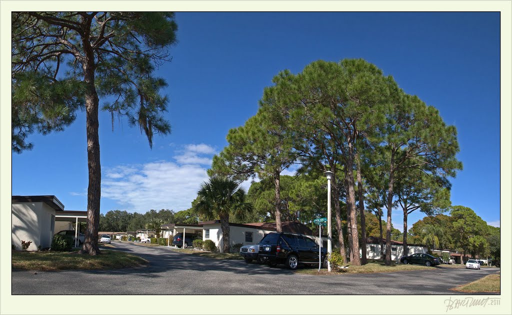 Florida, Sarasota 2011:01:07