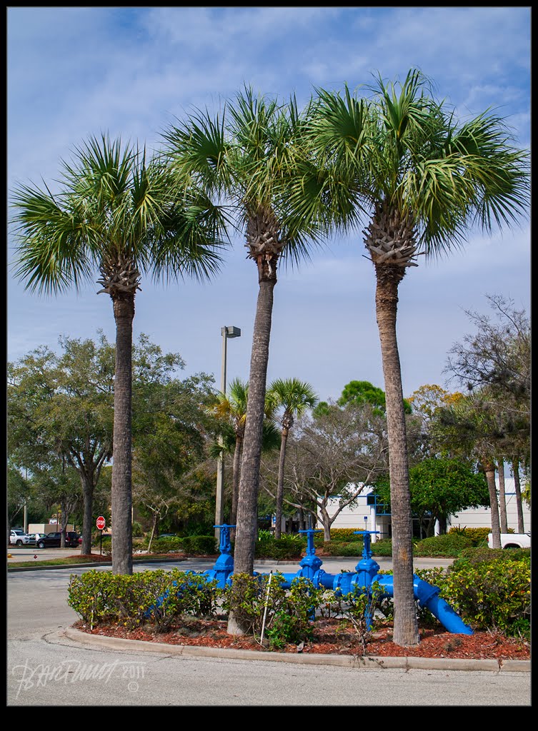 Sarasota, Blue pipes 2011:02:02