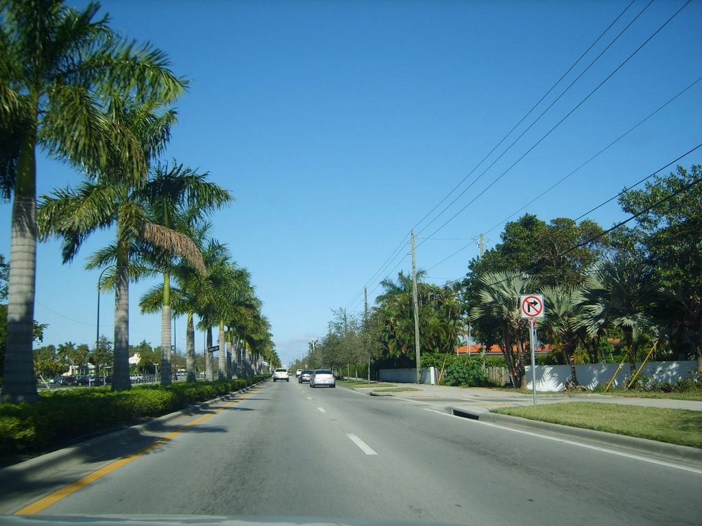 Miami Shores View