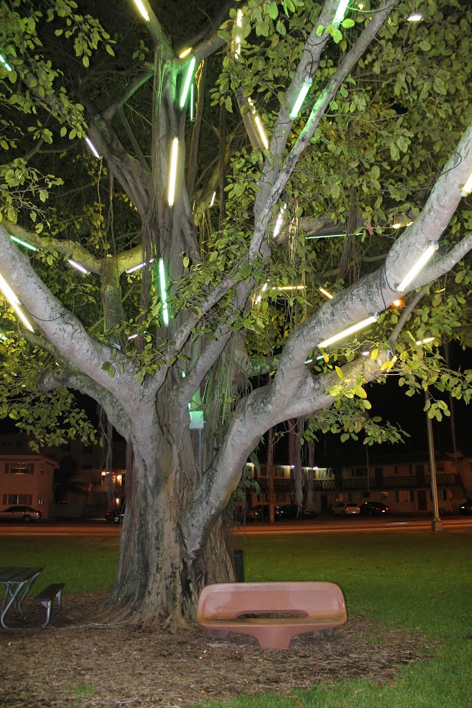 North Miami park