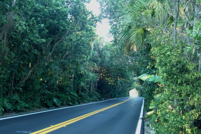 Ocean Blvd