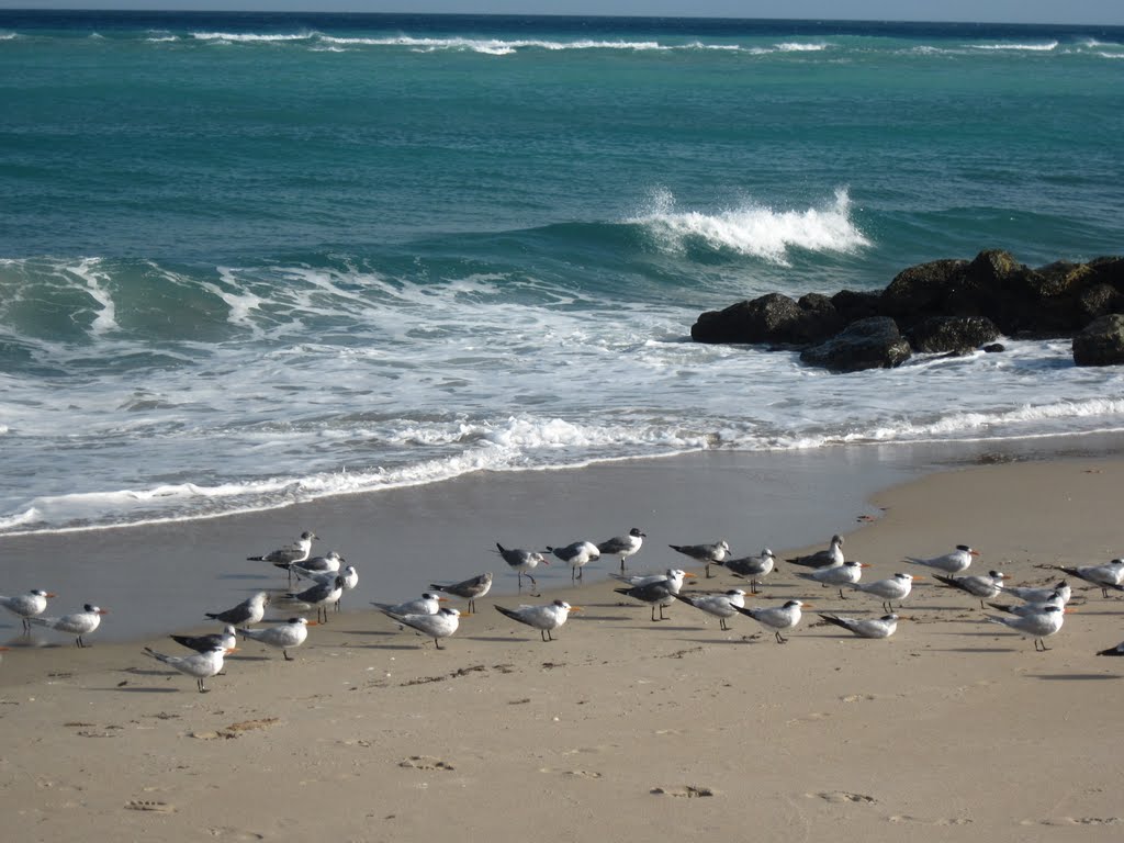Boynton Beach
