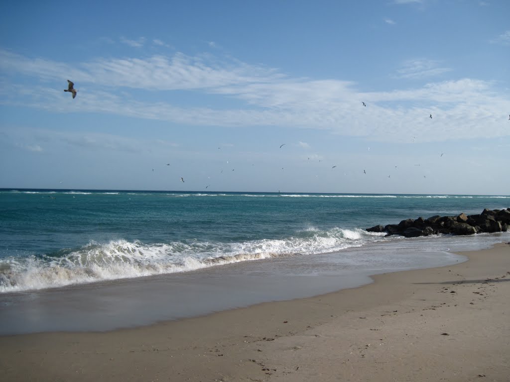 Boynton Beach