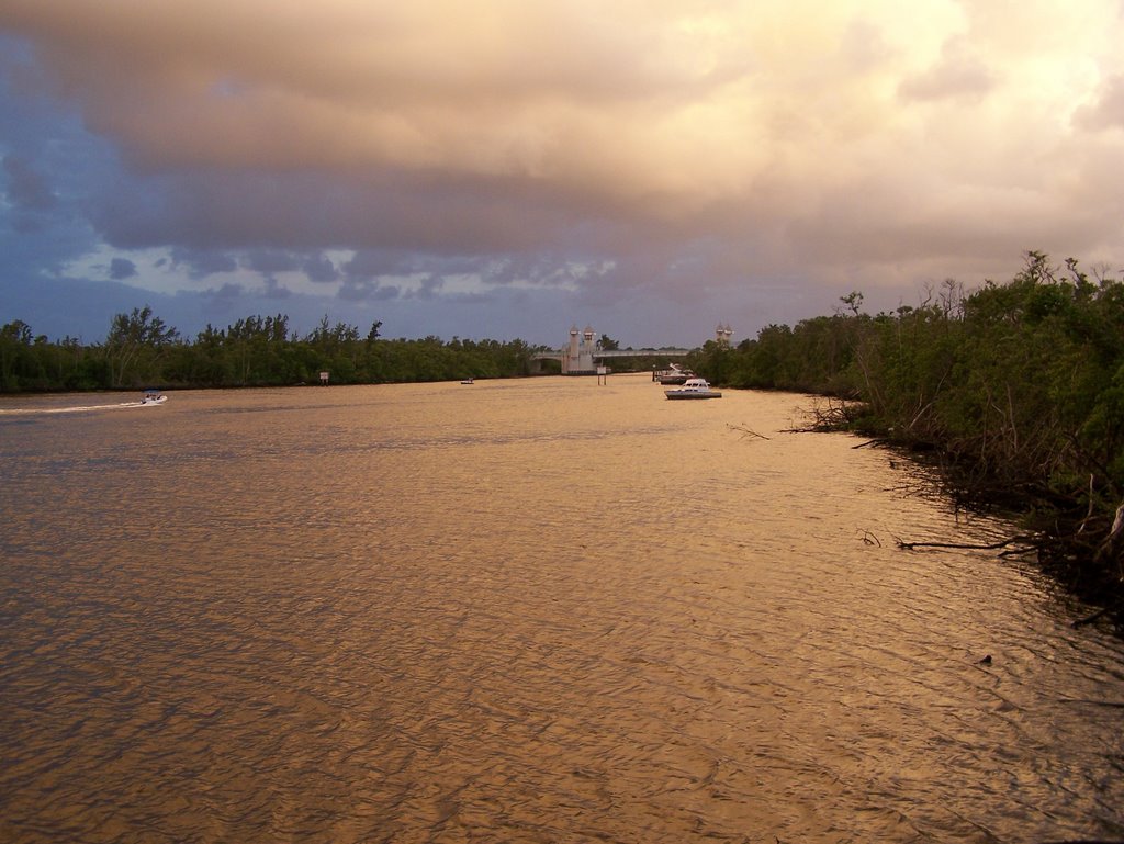 Mangrove Park Pier