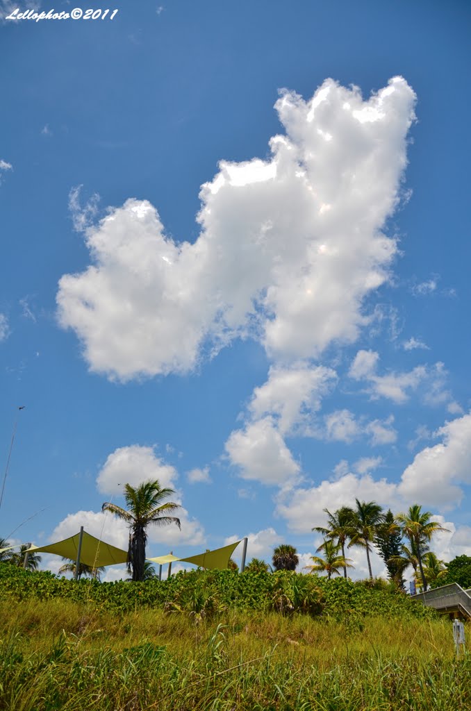 Ocean Ridge HDR