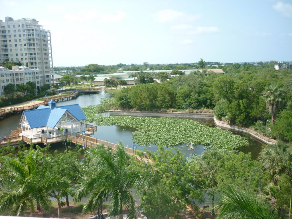 Gazebo View