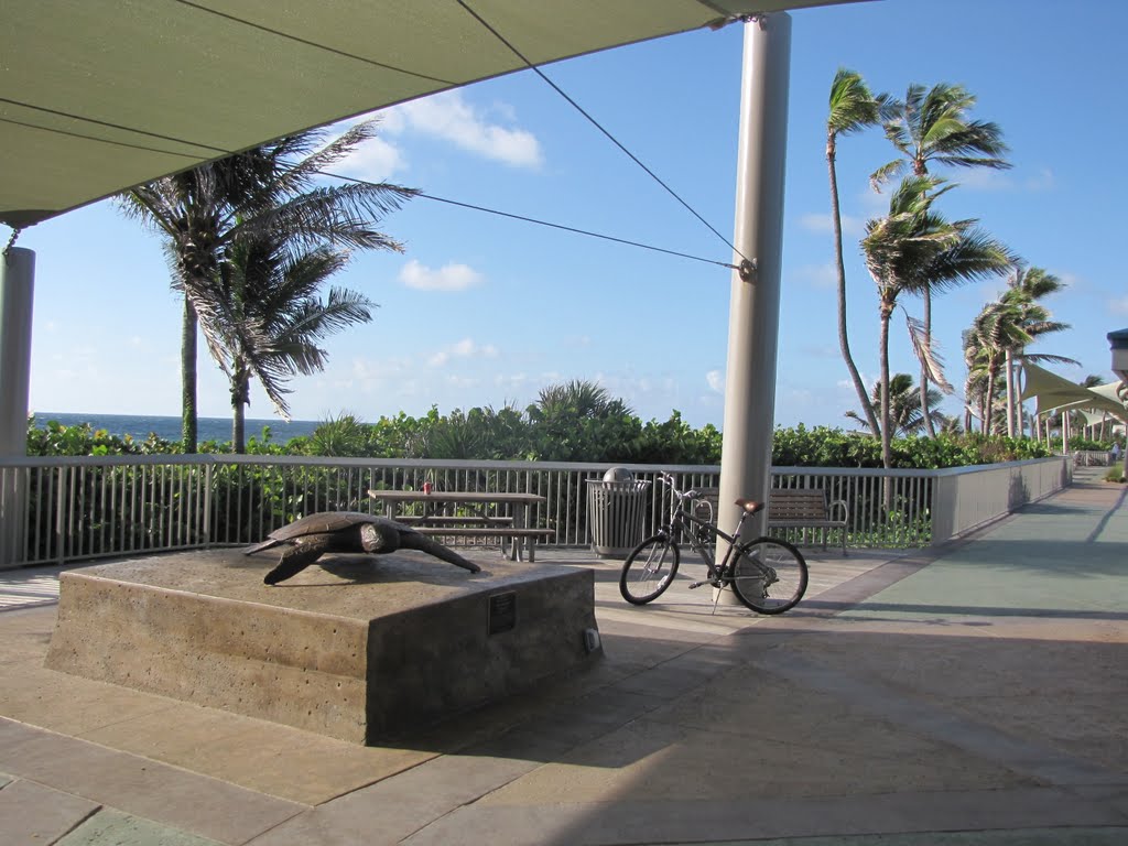 Boynton Beach, July2011