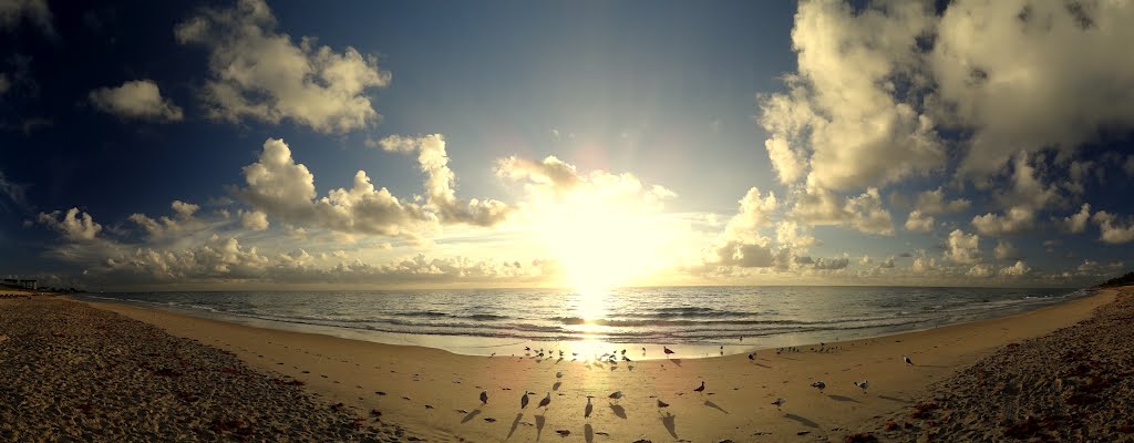 DSC08932 Dinosaurs Watching Sunrise At Boynton Beach Beach :)