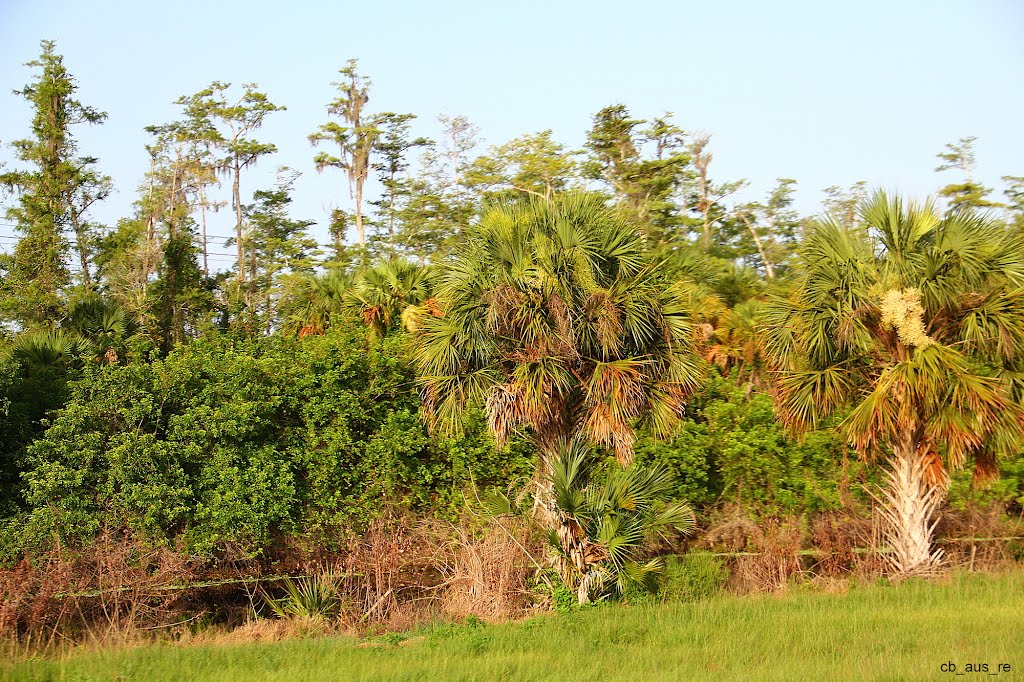 Highway 95, Boynton Beach, Florida