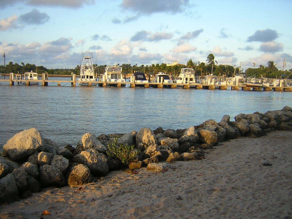 Ocean Ridge near inlet