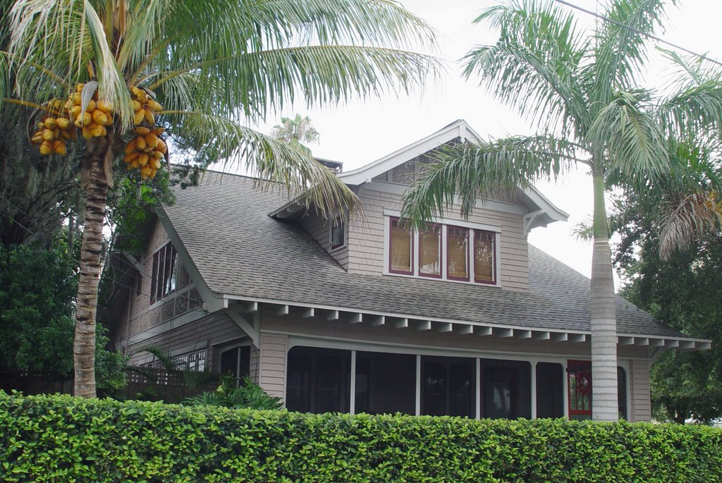 bungalow with coconut palm, Bradentown (7-2009)