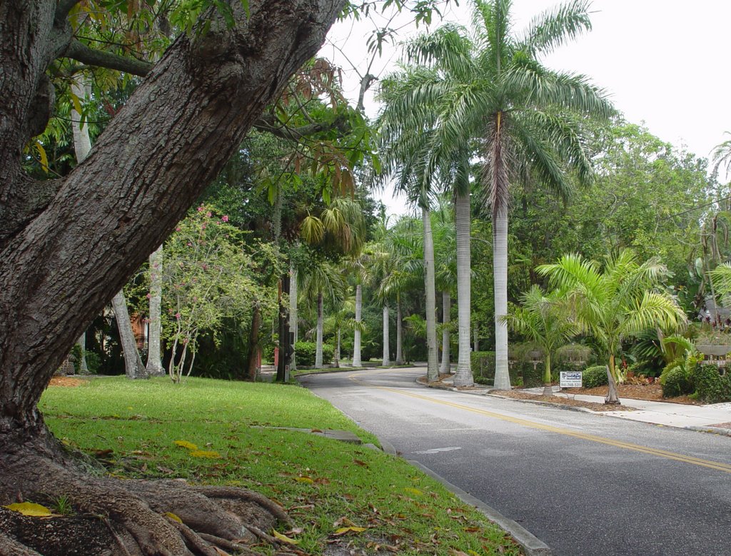 lush & historic Fogartyville, Bradentown Fla (7-2009)
