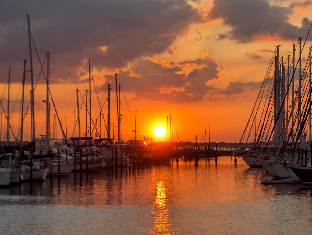 Sunset over the Masts