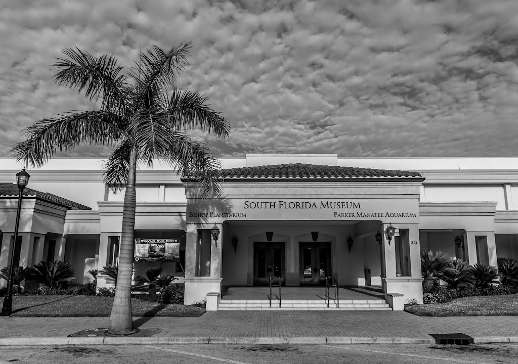 South Florida Museum