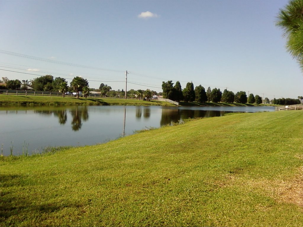 Paddock Club of Brandon - Looking W