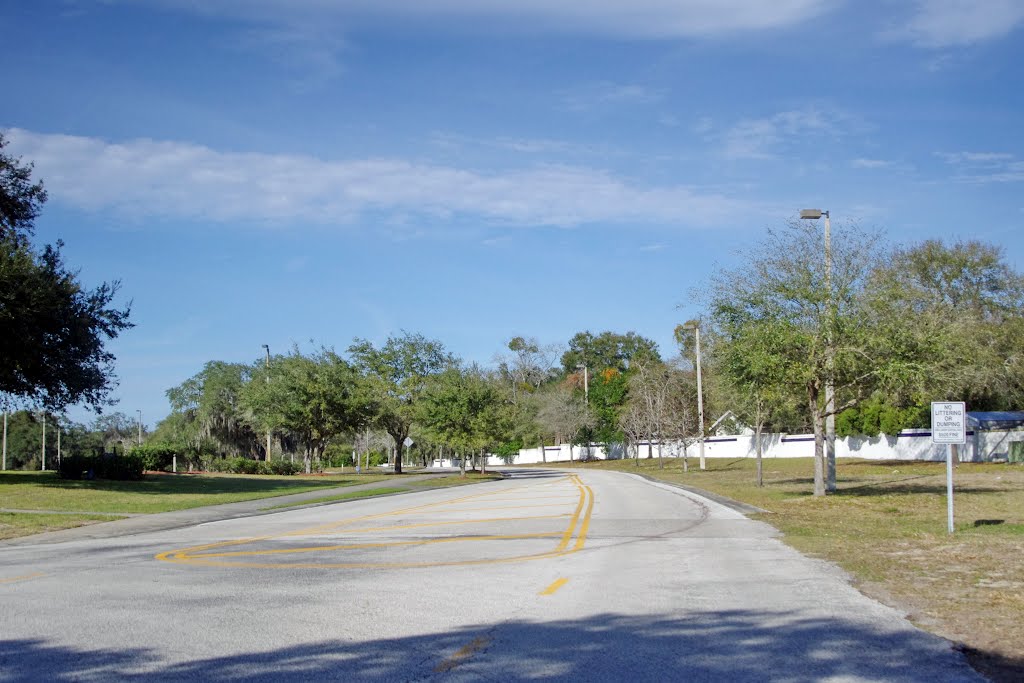 2012, Tampa-Brandon, FL - Brandon Blvd