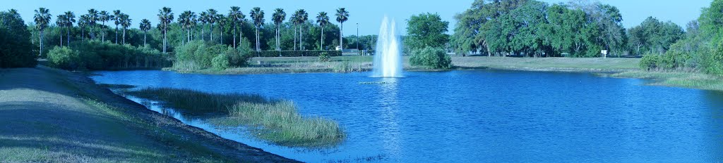 Pond at Crosstown Center