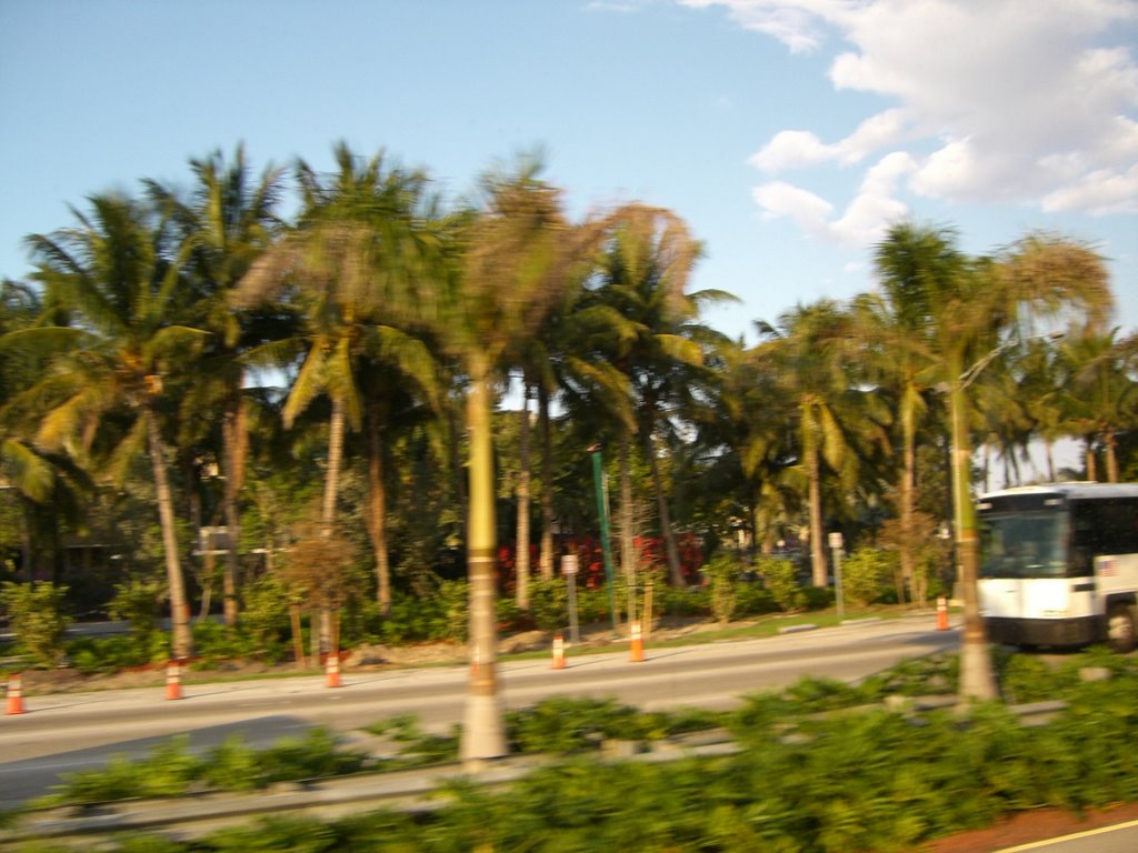 road to miami