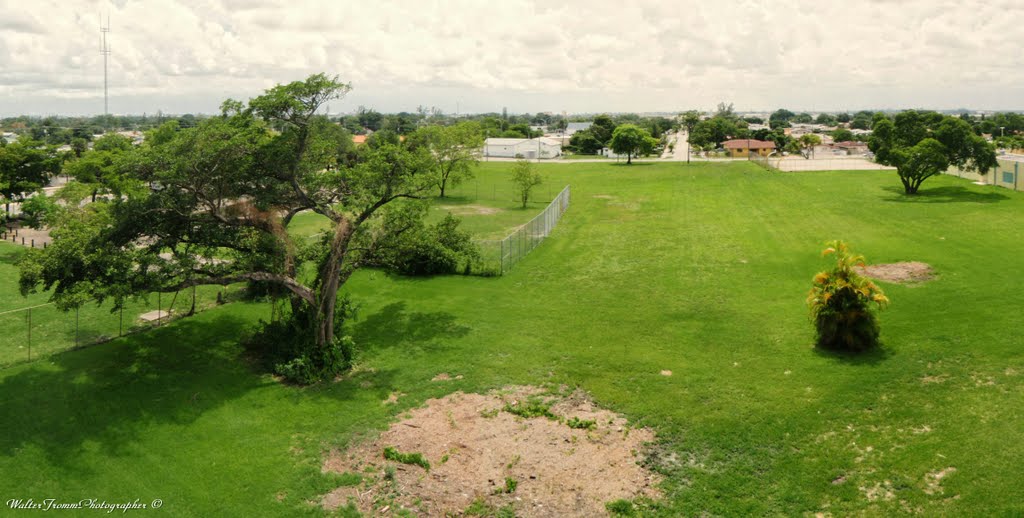 Park of Dr Martin Luther King Jr Plaza