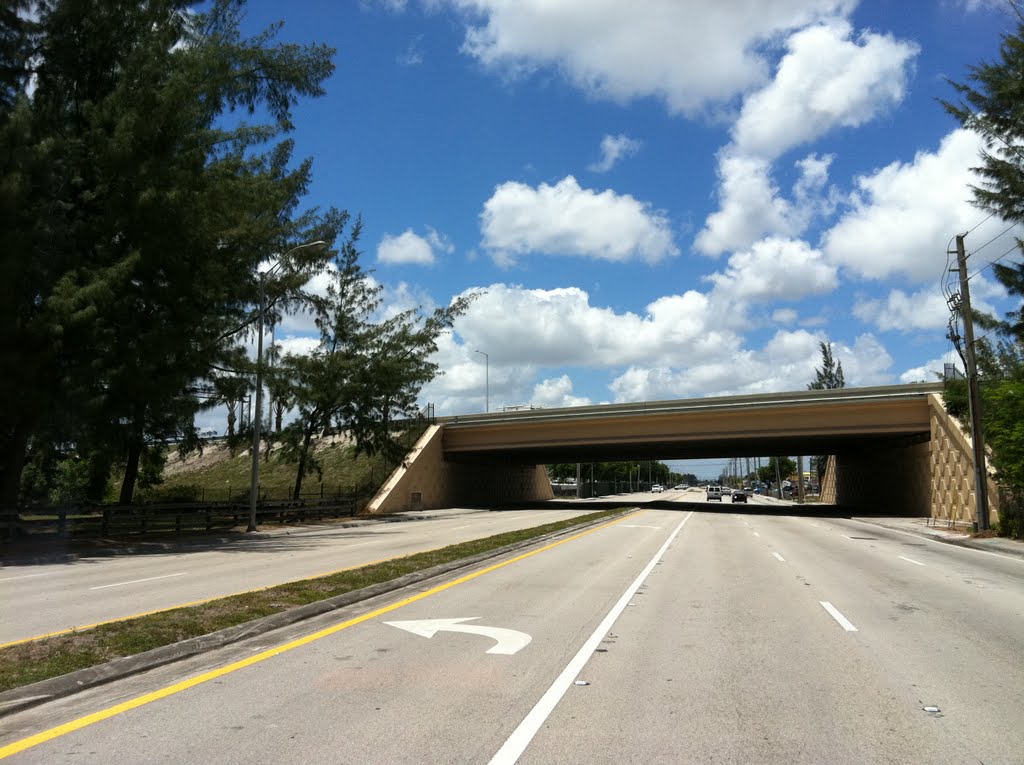 LeJeune Rd.