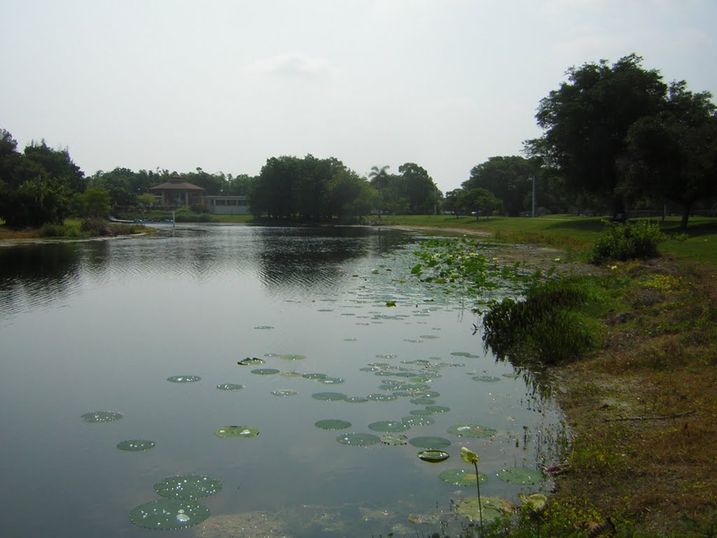 Shrinking Lake @ Beautiful Heritage Park, Plantation Fl.