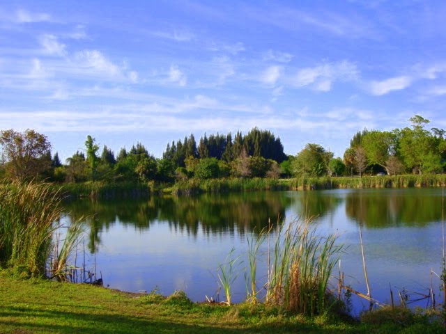 Coral Springs