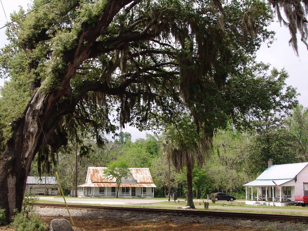 historic Cracker houses facing old railroad tracks, Brooker Fla (3-31-2012)