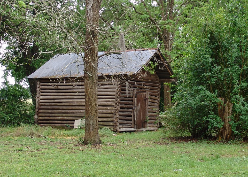 log corn crib, Brooker Fla (3-31-2012)