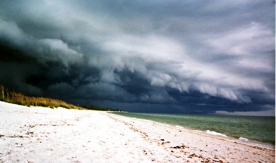Storm is coming. Hurry away!