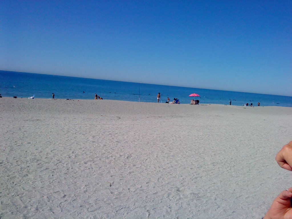 Turtle Beach 1